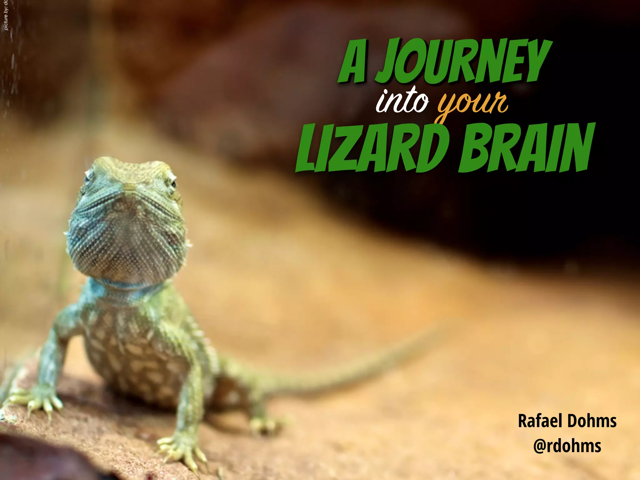 A journey into your Lizard Brain