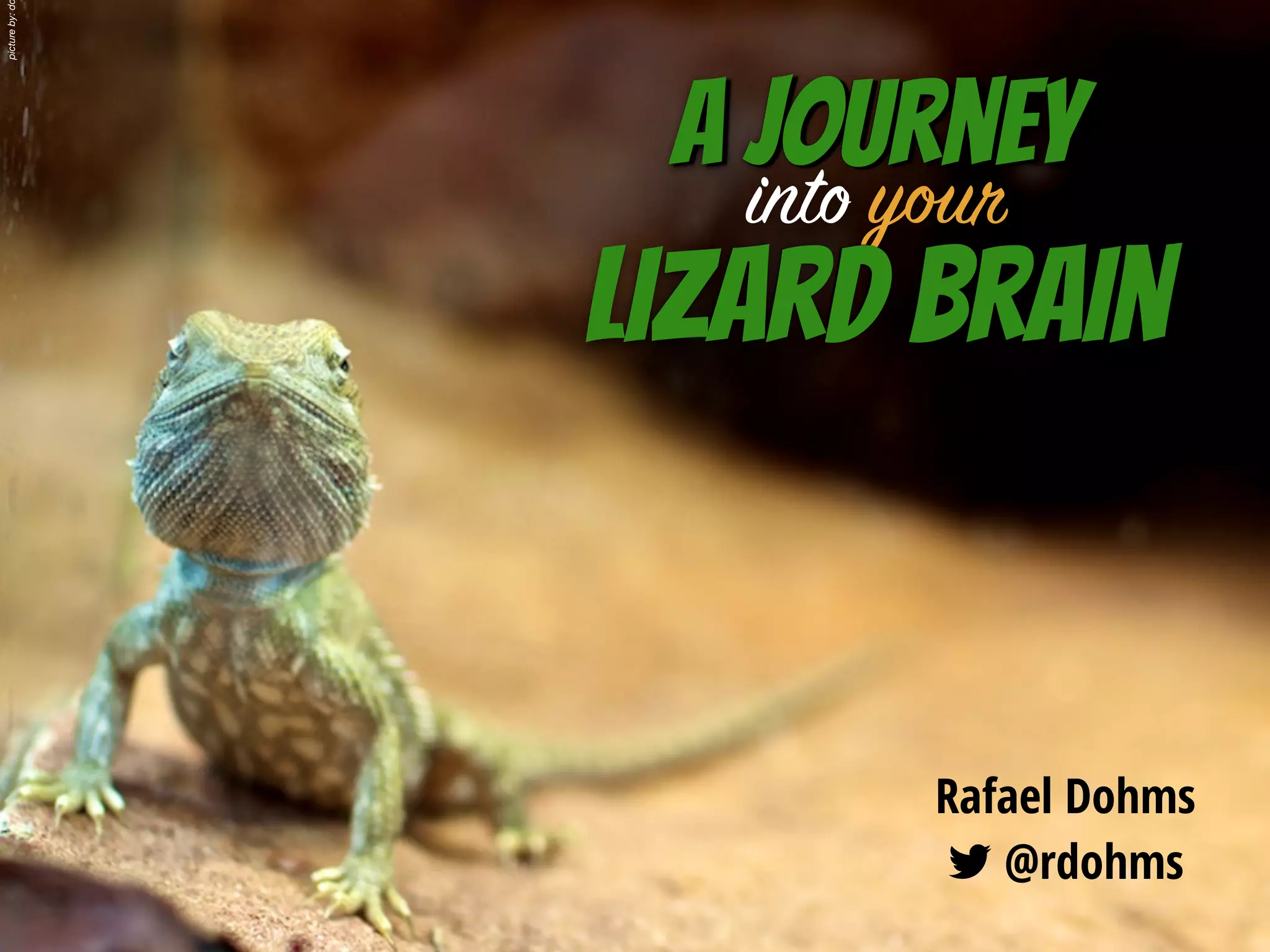 A Journey into your Lizard Brain